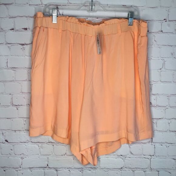 TORRID PULL ON SHORTS WOMEN'S SIZE 1 (1X). PEACH CHILLS LINED - Picture 2 of 11